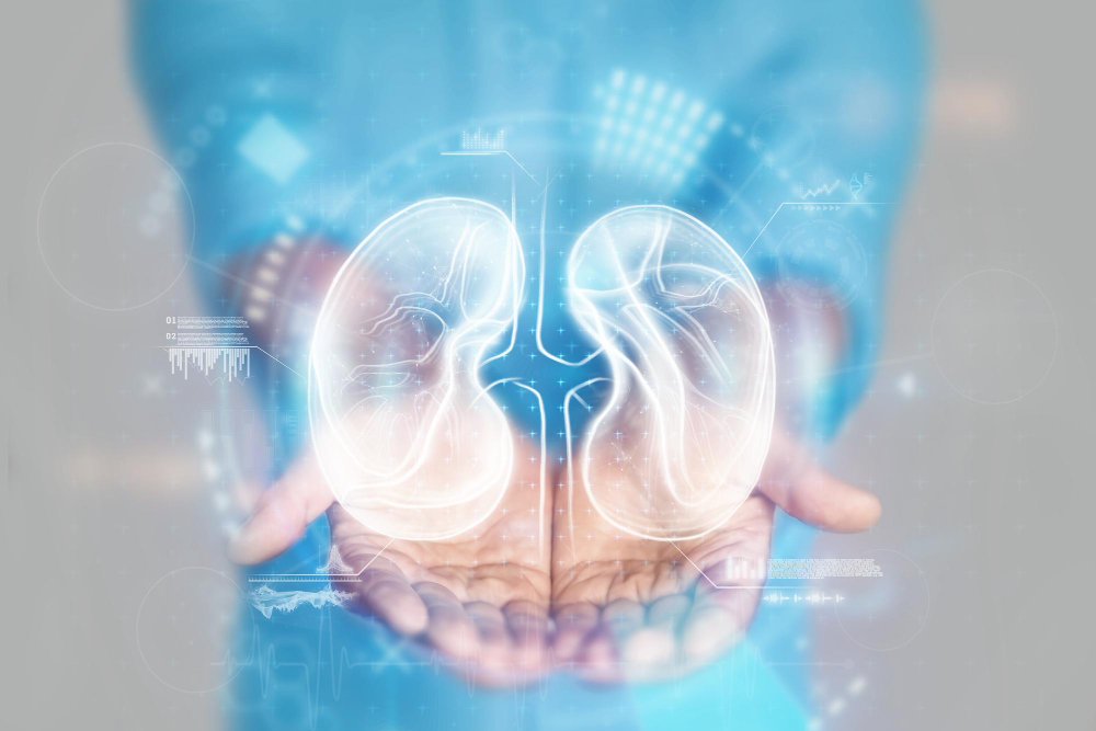 Nephrology 3
